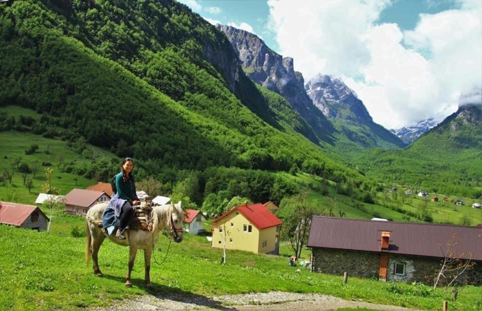 Dedushi Guesthouse &Wood Cabins-Camping Place Gusinje Εξωτερικό φωτογραφία